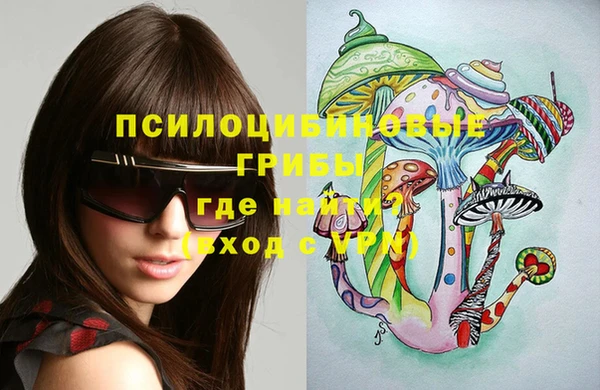 дмт Балахна