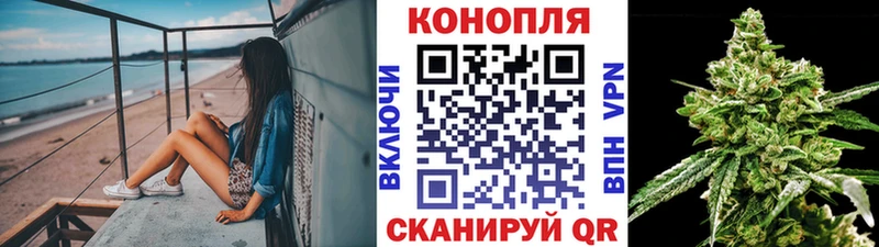 Бошки марихуана план  дарнет шоп  Чёрмоз 